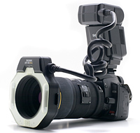 Sigma 150mm f/2.8 Macro lens and Sigma EM-140DG Ring flash