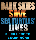 PBC.gov/ERM: Dark Skies Saves Sea Turtle Lives!