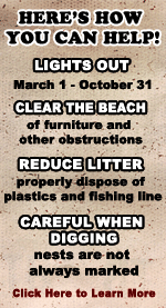 Tips on how you can help the Sea Turtles and our beaches.