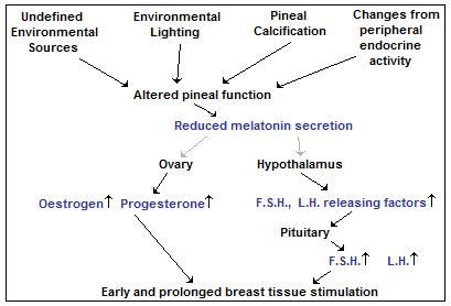 Cohen's Atrophied Pineal Gland to Breast Cancer
flowchart