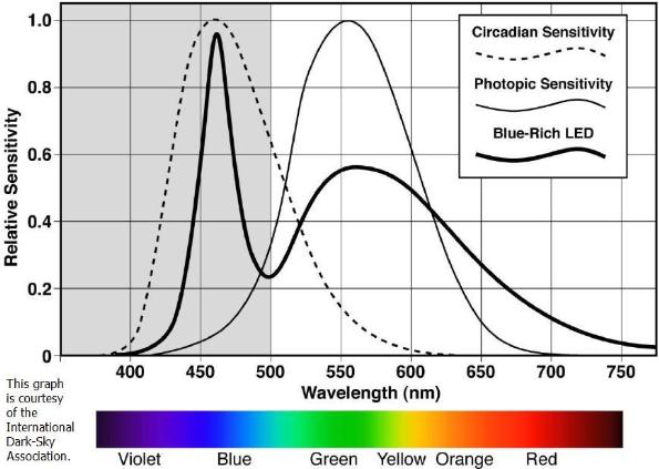 Human's circadian sensitivity to wavelengths compared to outputted wavelengths
of white-light LEDs